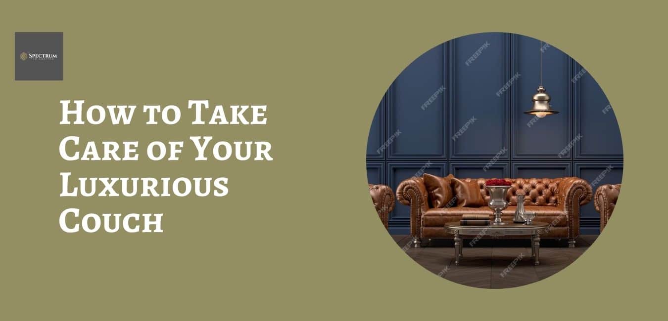 How to Take Care of Your Luxurious Couch